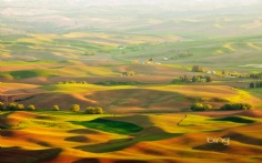 Palouse1920x12008-16-2011 12_03_46 PM Bing Desktop